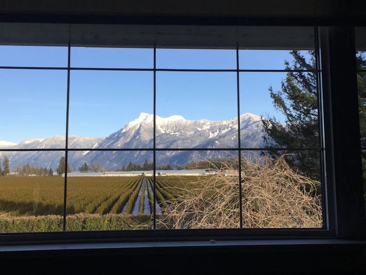 10170 Reeves Road, Chilliwack, BC, V2P 6H4 - 47