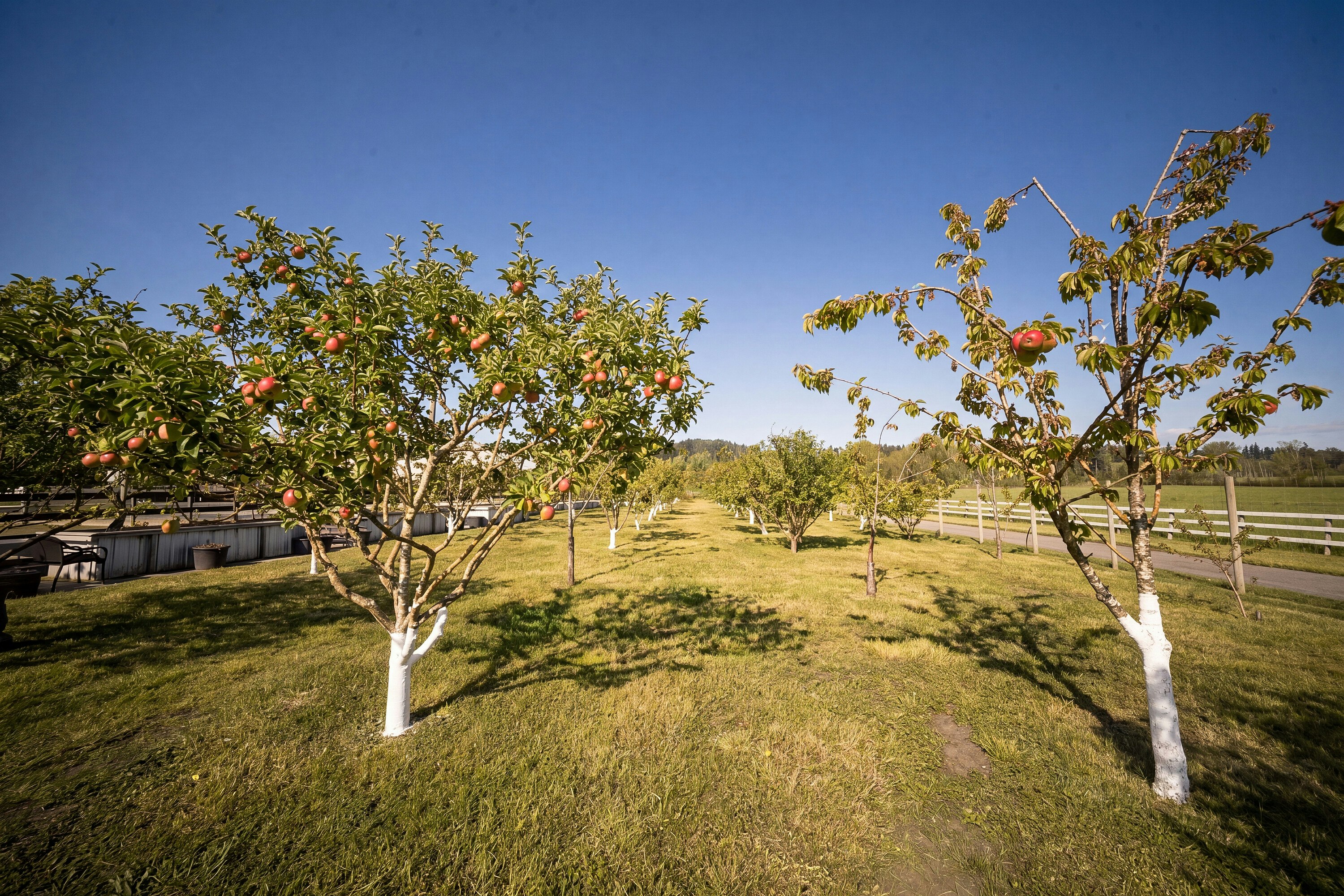 5960 Hunt Road, Saanich, BC, V8Y 3H7 - 63