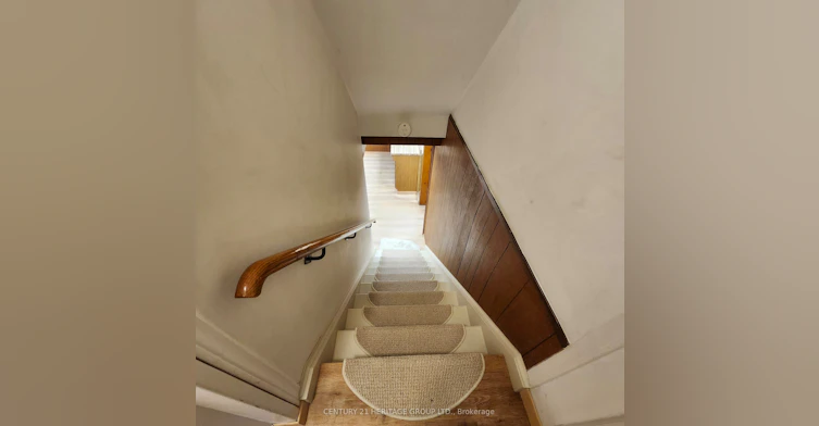 LOWER-223 Old Yonge Street, Toronto, ON, M2P 1R5 - 3