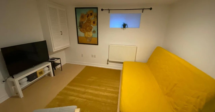 Basement-184 Madison Avenue, Toronto, ON, M5R 2S5 - 3