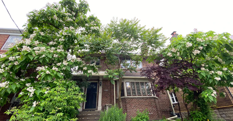 Bsmt-1196 Avenue Road, Toronto, ON, M5N 2G1