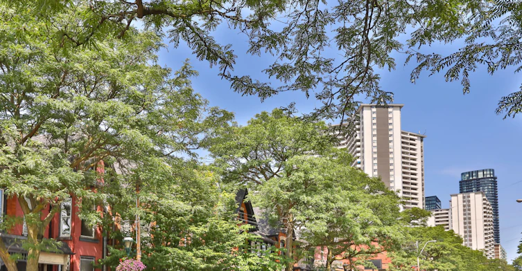 1-559 Parliament Street, Toronto, ON, M4X 1P7 - 14