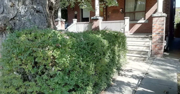 Bsmt-761 Markham Street, Toronto, ON, M6G 2M4 - 2