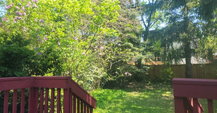 37 Collinson Boulevard, Toronto, ON, M3H 3C1 - 14