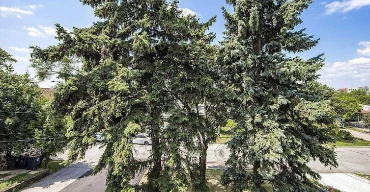 Unit 2-77 Garthdale Court, Toronto, ON, M3H 5P7 - 18