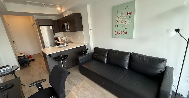 1320-57 St Joseph Street, Toronto, ON, M5S 0C5 - 8