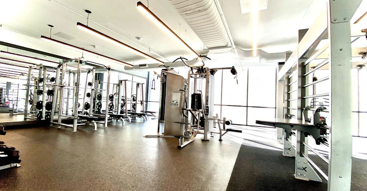 303-85 Wood Street, Toronto, ON, M4Y 0E8 - 22