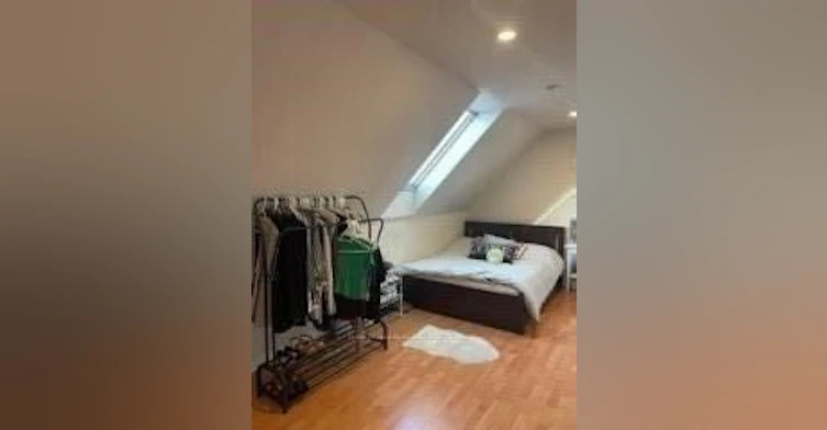 Upper-4 Sully Crescent, Toronto, ON, M6J 2E4 - 11