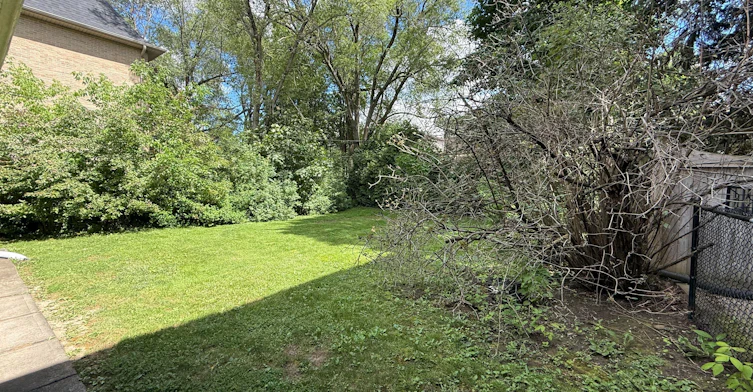 119 Caribou Road, Toronto, ON, M5N 2B1 - 35
