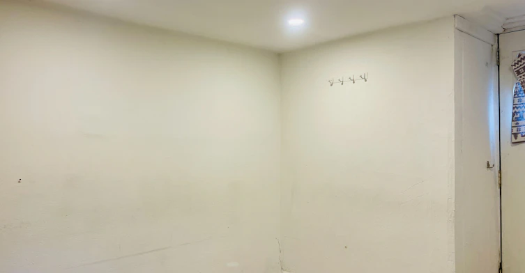 Basement-218 Heath Street W, Toronto, ON, M5P 1N7 - 12