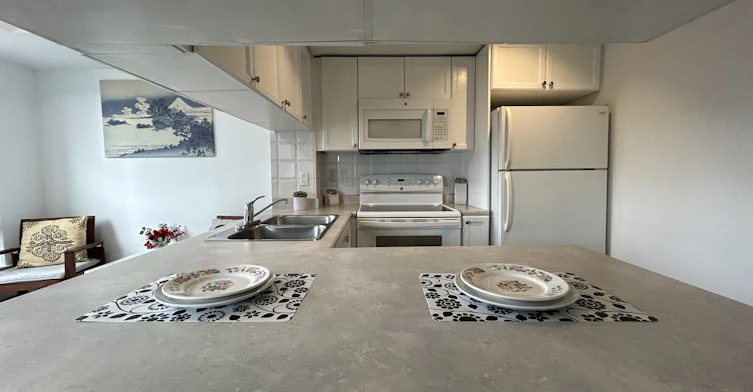 1204-909 Bay Street, Toronto, ON, M5S 3G2 - 7
