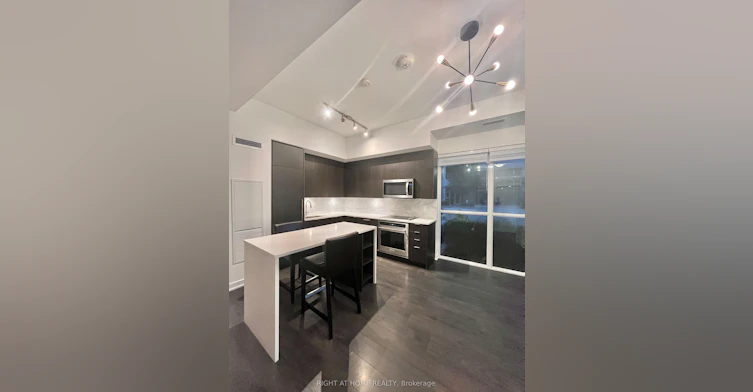116-38 Iannuzzi Street, Toronto, ON, M5V 0S2 - 9