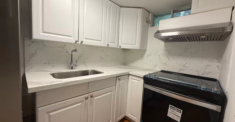 BSMT-223 Pleasant Avenue, Toronto, ON, M2M 1M6 - 4