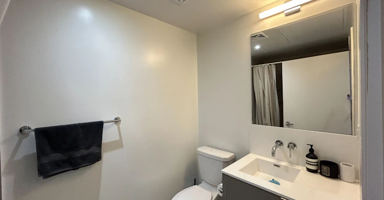 2006-100 Harbour Street, Toronto, ON, M5J 0B5 - 13
