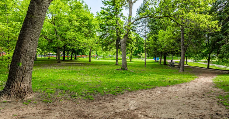 1A-1 Bellwoods Park, Toronto, ON, M6J 1S4 - 14