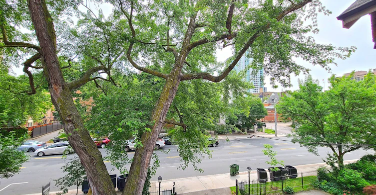 6-510 Jarvis Street, Toronto, ON, M4Y 2H6 - 9