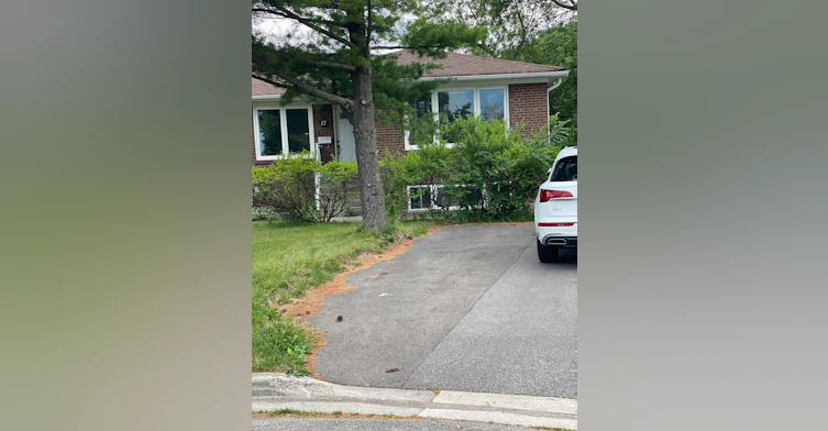 Bsmt-17 Gailong Court, Toronto, ON, M3A 1X7 - 31