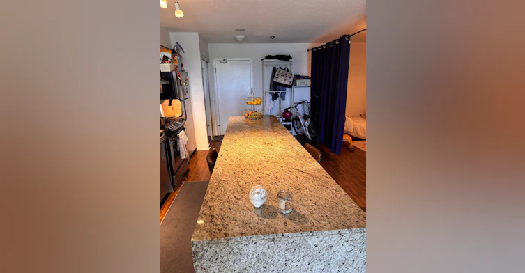 206-19 Singer Court, Toronto, ON, M2K 0B2 - 15