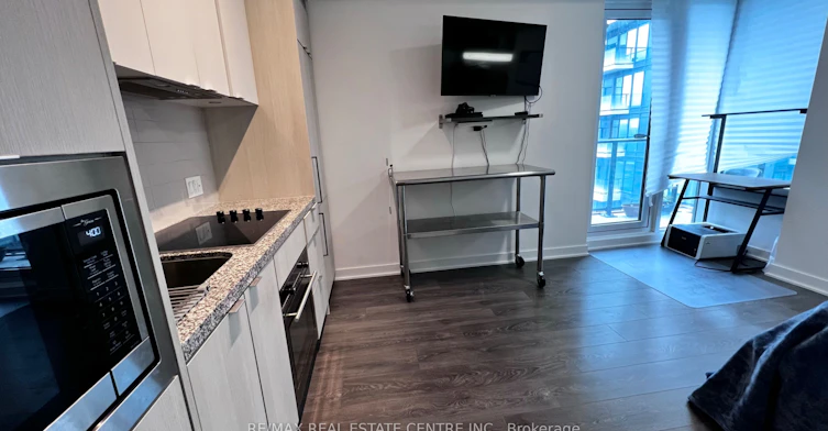 4811-115 Blue Jays Way, Toronto, ON, M5V 0N4 - 3