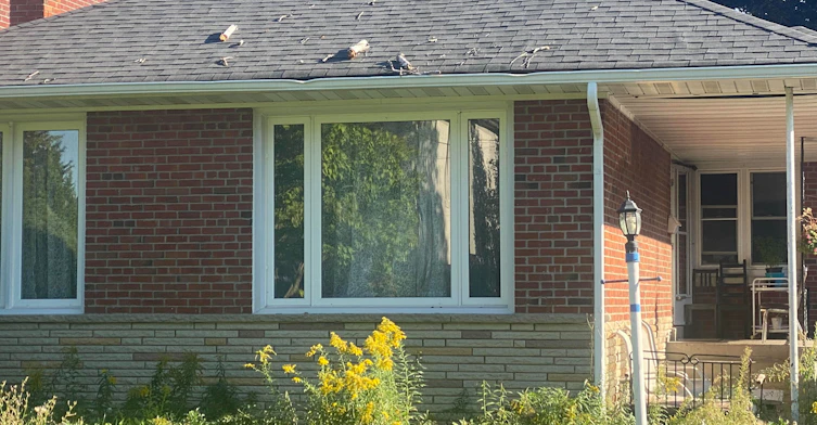 main floor-281 Betty Ann Drive, Toronto, ON, M2R 1A9 - 2