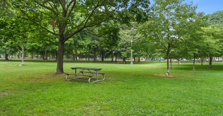 Apt 2-180 Bellwoods Avenue, Toronto, ON, M6J 2P9 - 26
