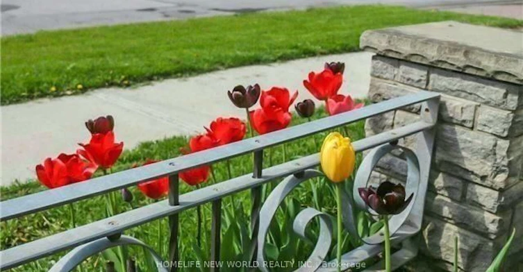 Lower-298 Mckee Avenue, Toronto, ON, M2N 4E3 - 11