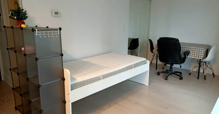 955 Bay Street, Toronto, ON, M5S 2A2 - 9