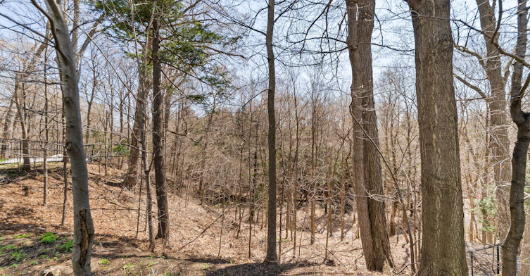 45 Hi Mount Drive, Toronto, ON, M2K 1X3 - 43