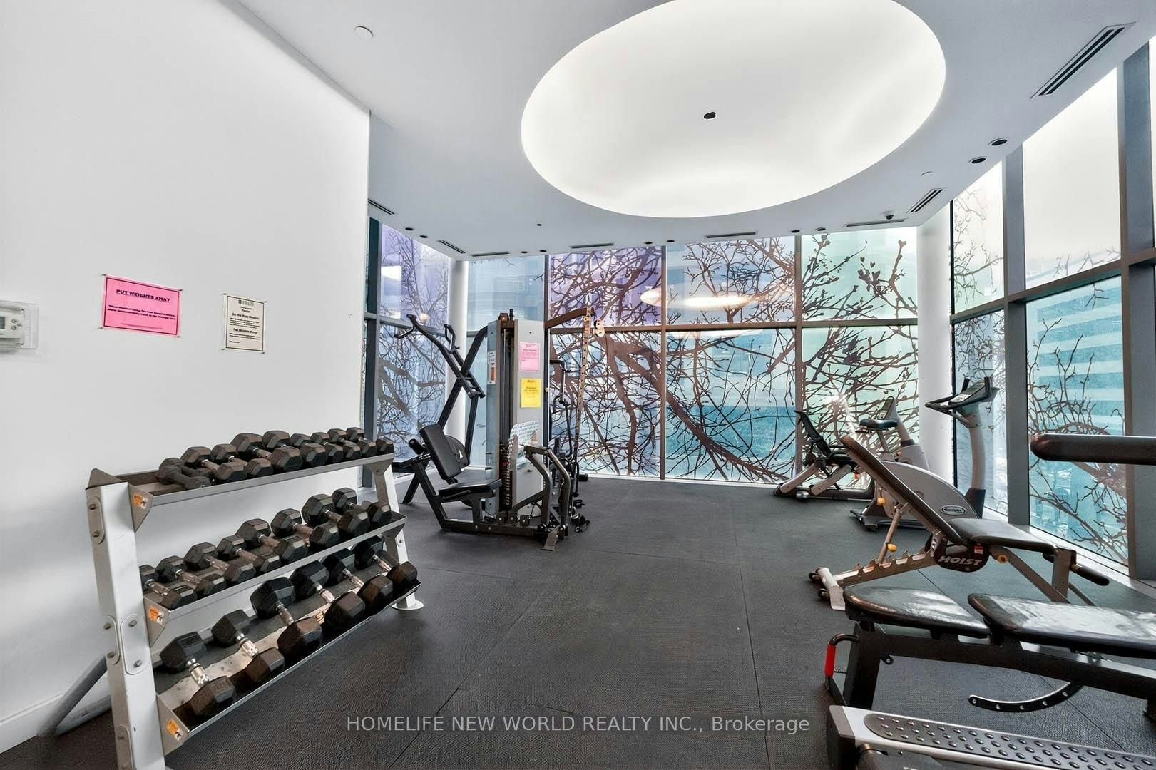 1701-37 Grosvenor Street, Toronto, ON, M4Y 3G5 - 13