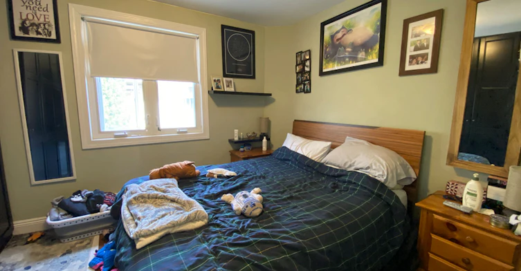 Main-429 Ossington Avenue, Toronto, ON, M6J 3A6 - 6