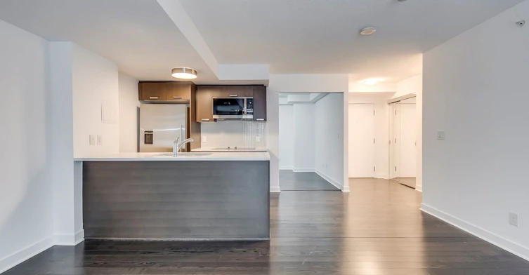 314-295 Adelaide Street W, Toronto, ON, M5V 0L4 - 8