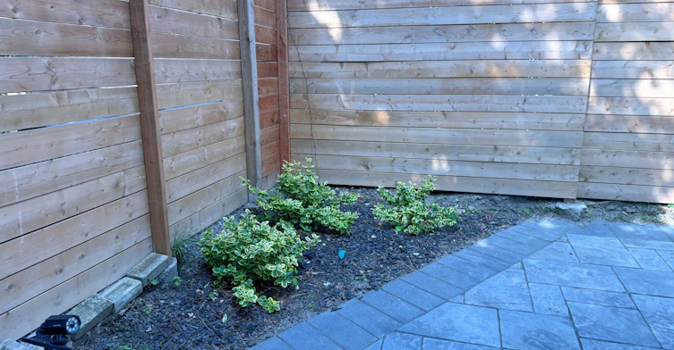 Lower-150 Davisville Avenue, Toronto, ON, M4S 1E8 - 14