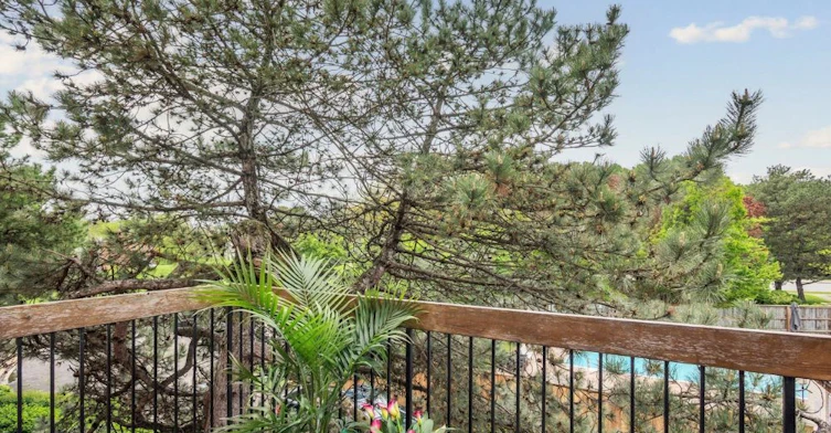 24 Anvil Millway N/A, Toronto, ON, M2L 1R1 - 4