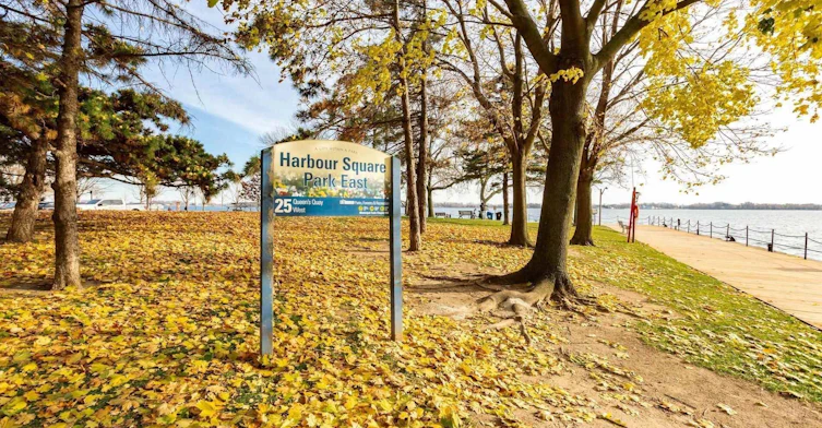 837-33 Harbour Square, Toronto, ON, M5J 2G2 - 44