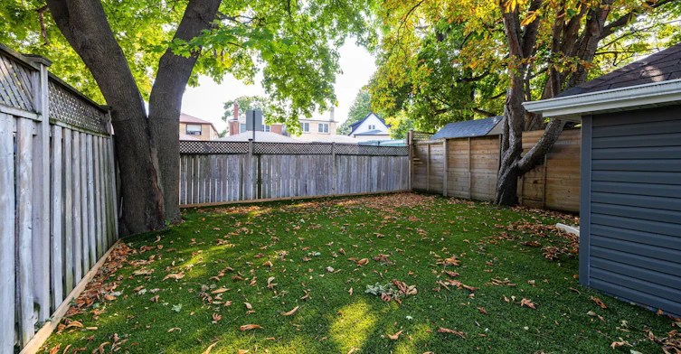 15 Mcnairn Avenue, Toronto, ON, M5M 2H4 - 43