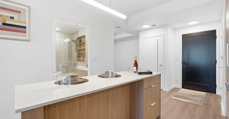 1212-88 Bathurst Street, Toronto, ON, M5V 0W8 - 8