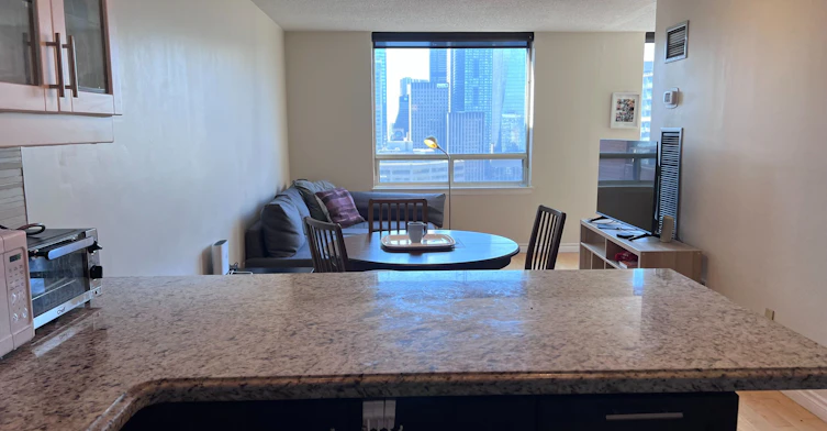 Ph12-633 Bay Street, Toronto, ON, M5G 2G4 - 17