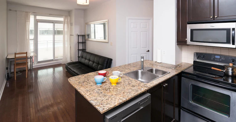 417-736 Spadina Avenue, Toronto, ON, M5S 2J6 - 3
