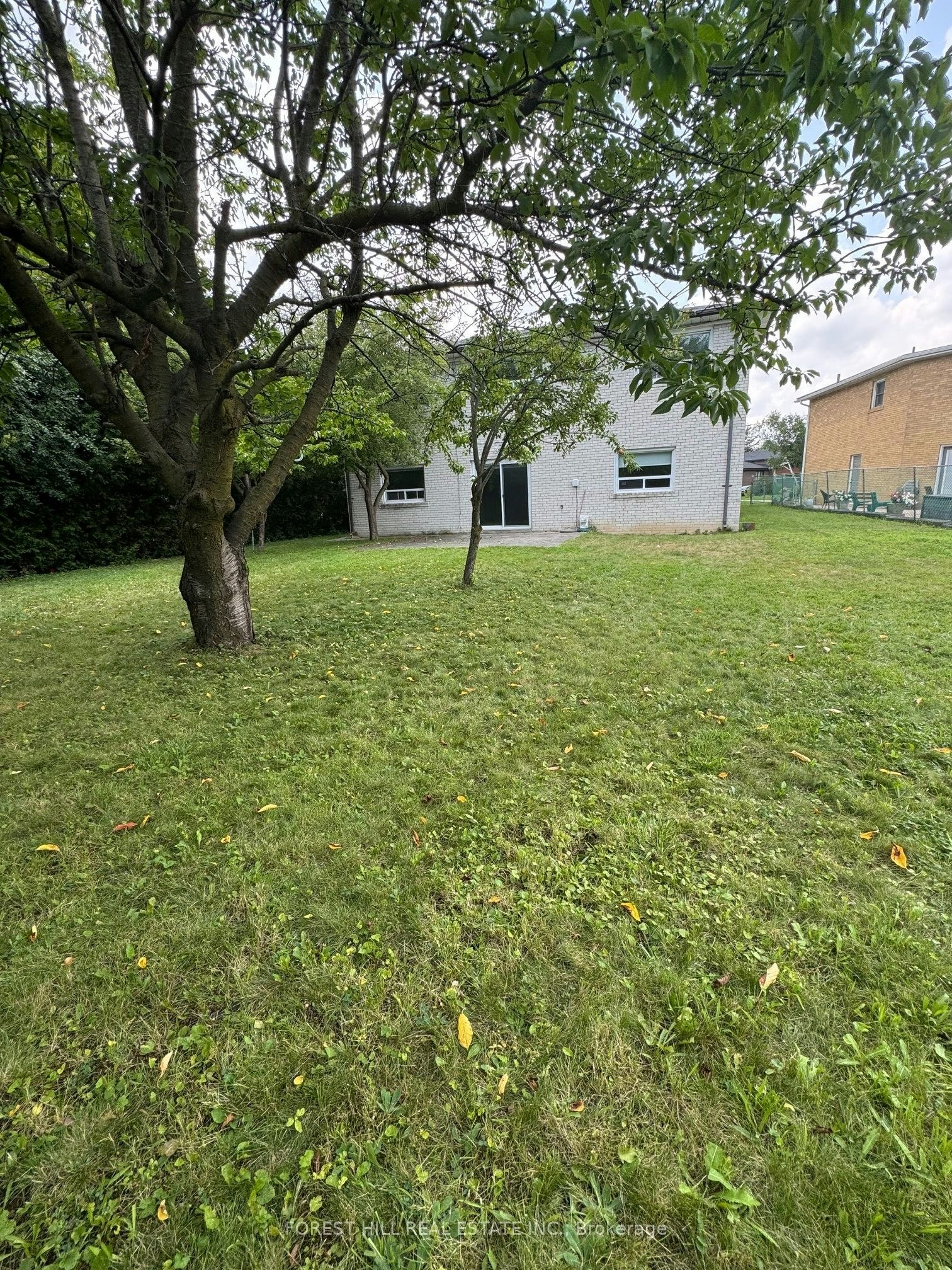 3 Tokay Court, Toronto, ON, M3H 3V2 - 33