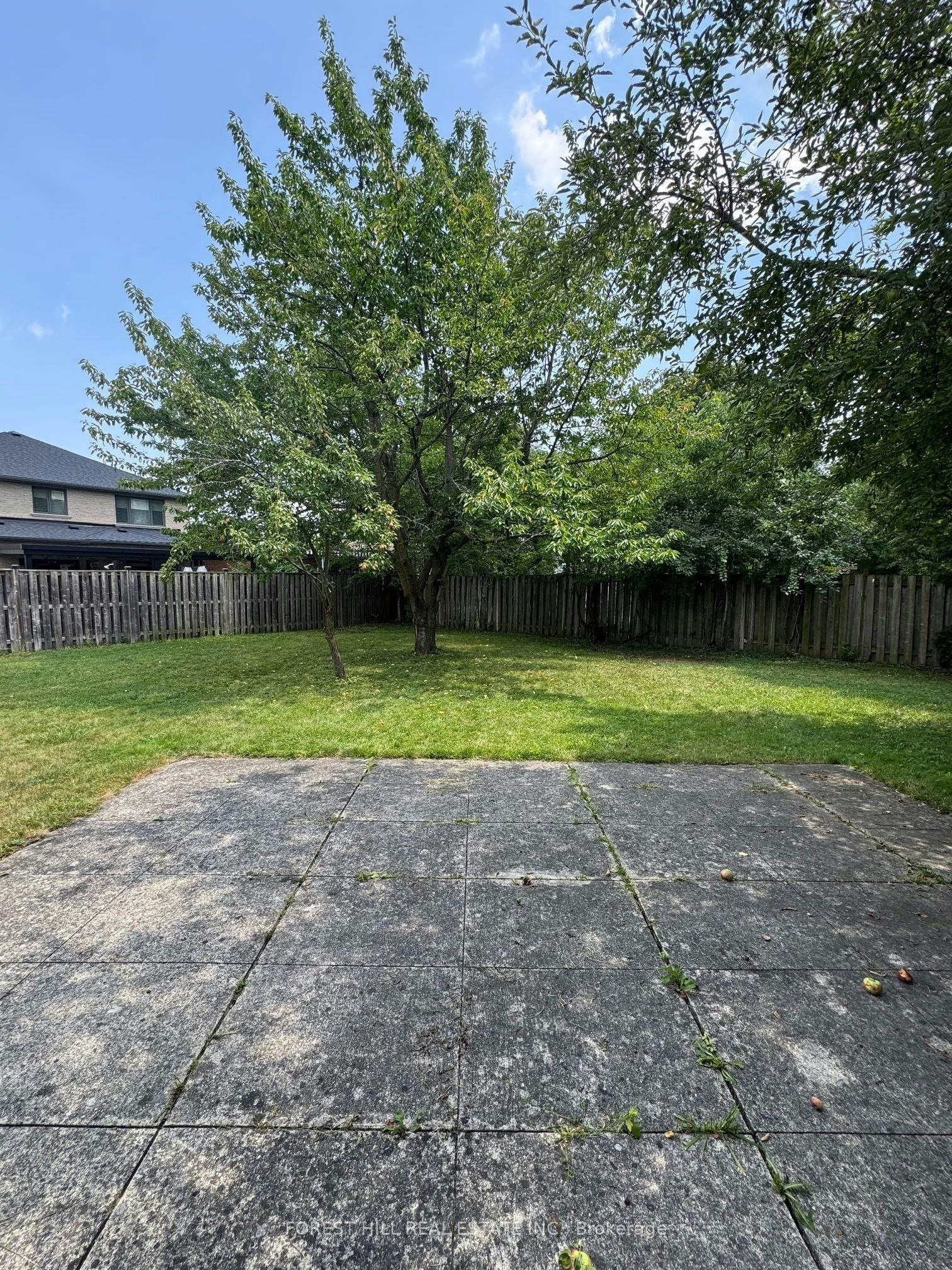 3 Tokay Court, Toronto, ON, M3H 3V2 - 31