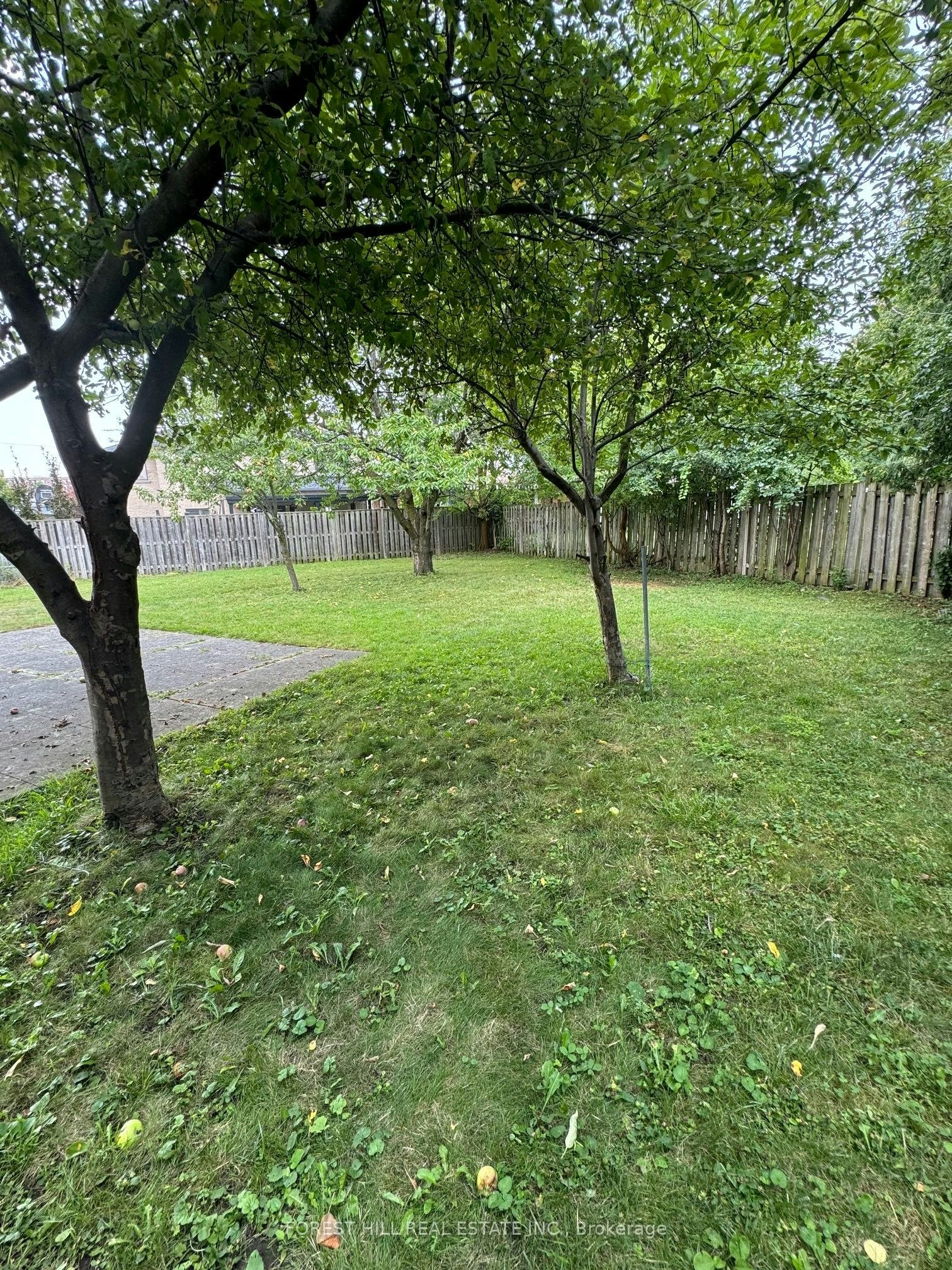3 Tokay Court, Toronto, ON, M3H 3V2 - 30