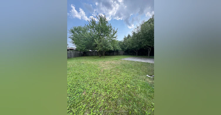 3 Tokay Court, Toronto, ON, M3H 3V2 - 32