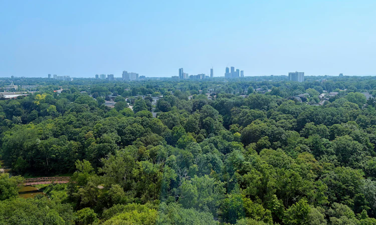 1802-15 Vicora Link Way