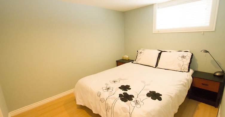 Basement-192 Maxome Avenue, Toronto, ON, M2M 3L2 - 5