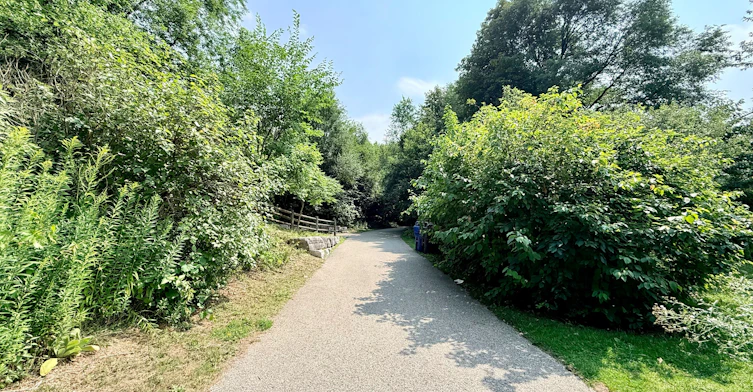 48R Bradgate Road, Toronto, ON, M3B 1J8 - 7