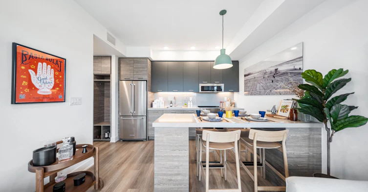 210-484 Spadina Avenue, Toronto, ON, M5S 0E4 - 11