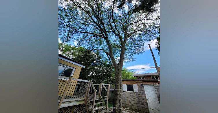 95 Overland Drive, Toronto, ON, M3C 2C3 - 13
