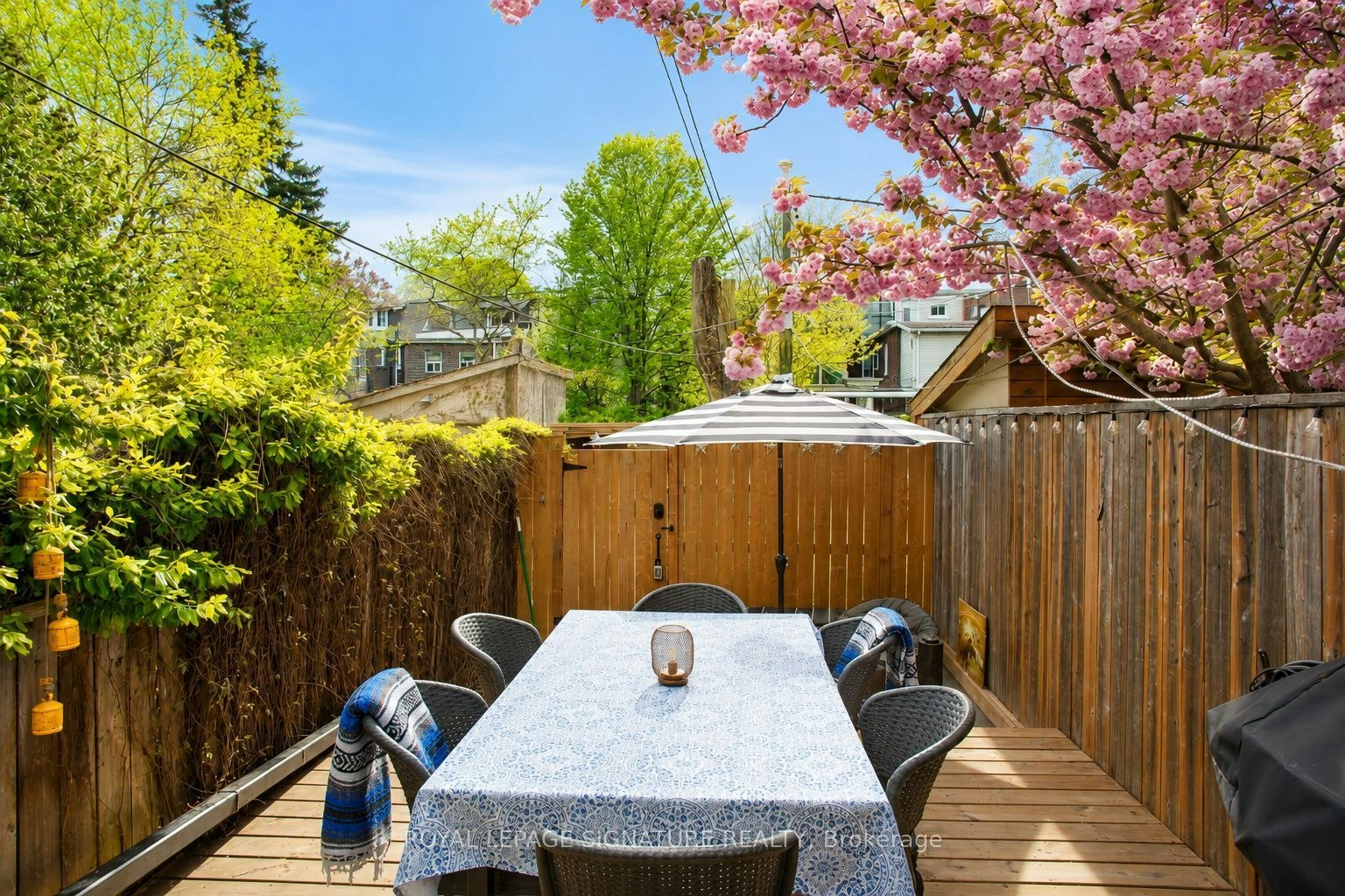 132 Major Street, Toronto, ON, M5S 2L2 - 12