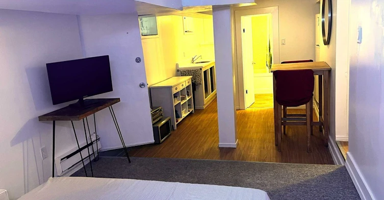Lower-2 Page Street, Toronto, ON, M6G 1J2 - 2