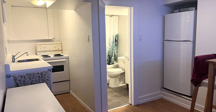 Lower-2 Page Street, Toronto, ON, M6G 1J2 - 3
